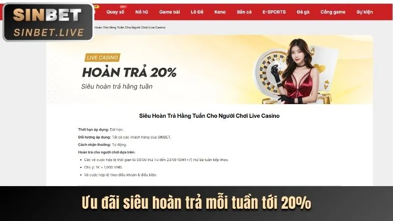 Hoàn trả hàng ngày go8pro